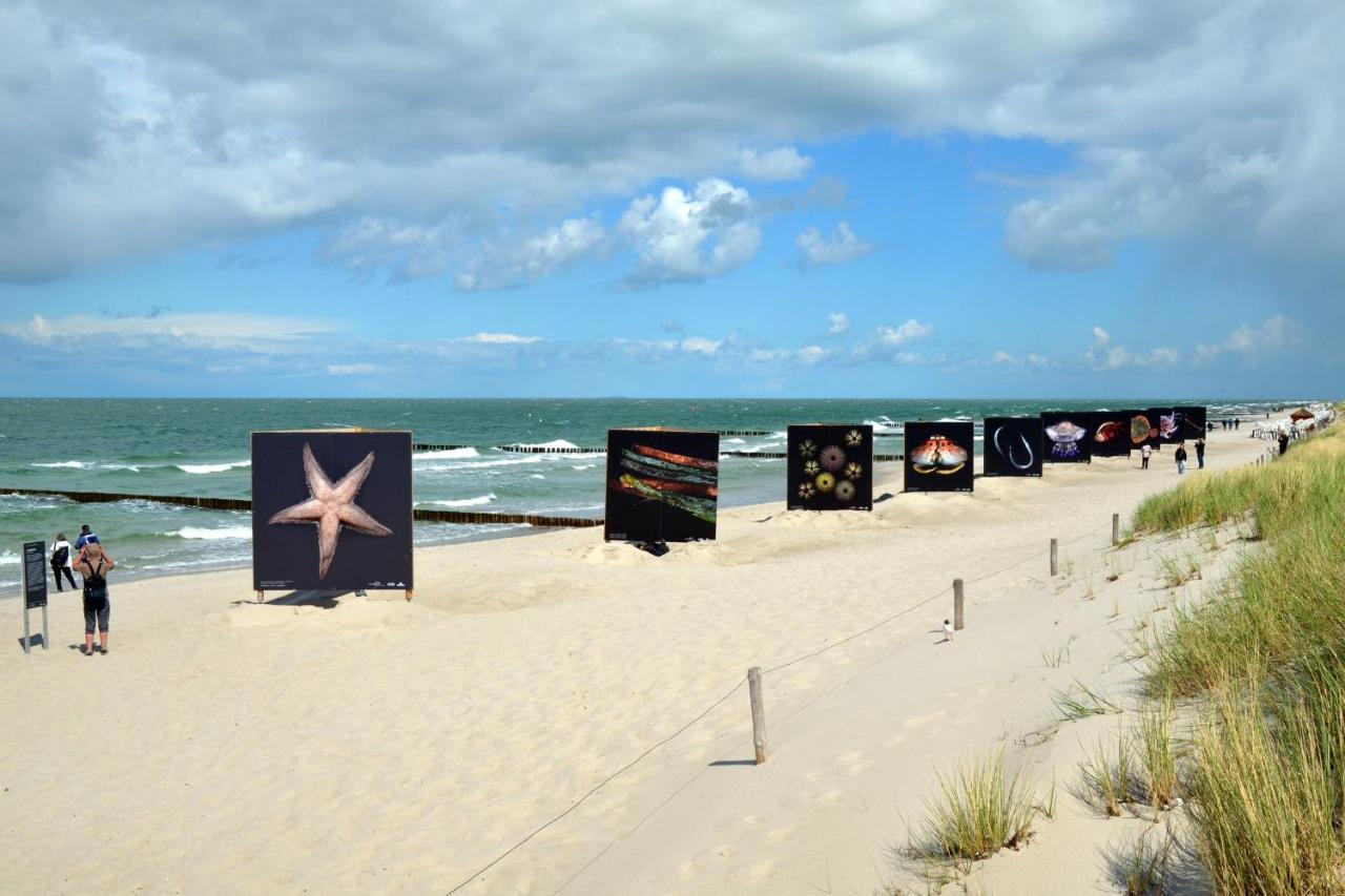 Seestr_54 Nr_304 Zingst Buitenkant foto